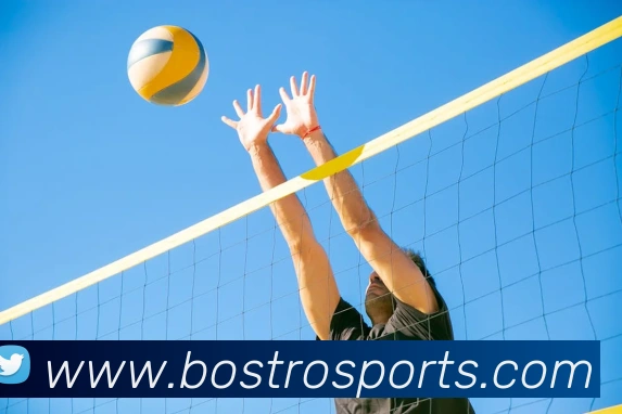 球赛投注平台生态图