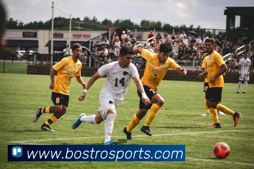 App 展示图
